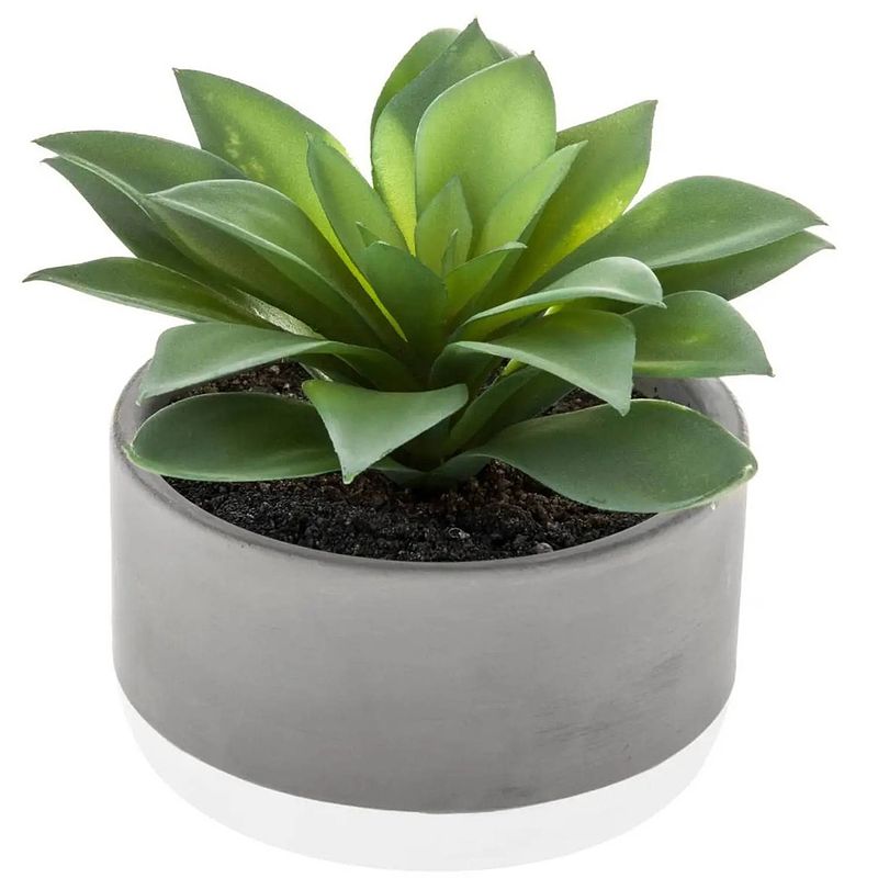 Foto van Atmosphera vetplant kunstplant in pot van cement 22 cm - kunstplanten