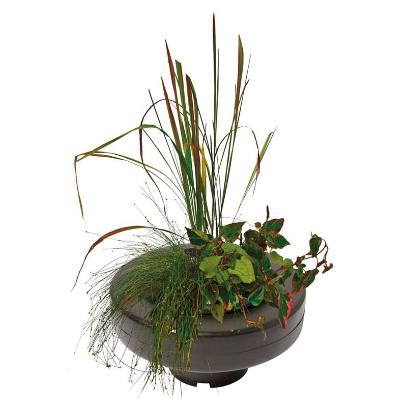 Foto van Superfish - floating plant basket diameter 22 cm vijver