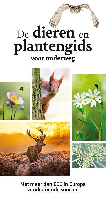 Foto van De dieren- en plantengids voor onderweg - wilhelm eisenreich - paperback (9789021578453)