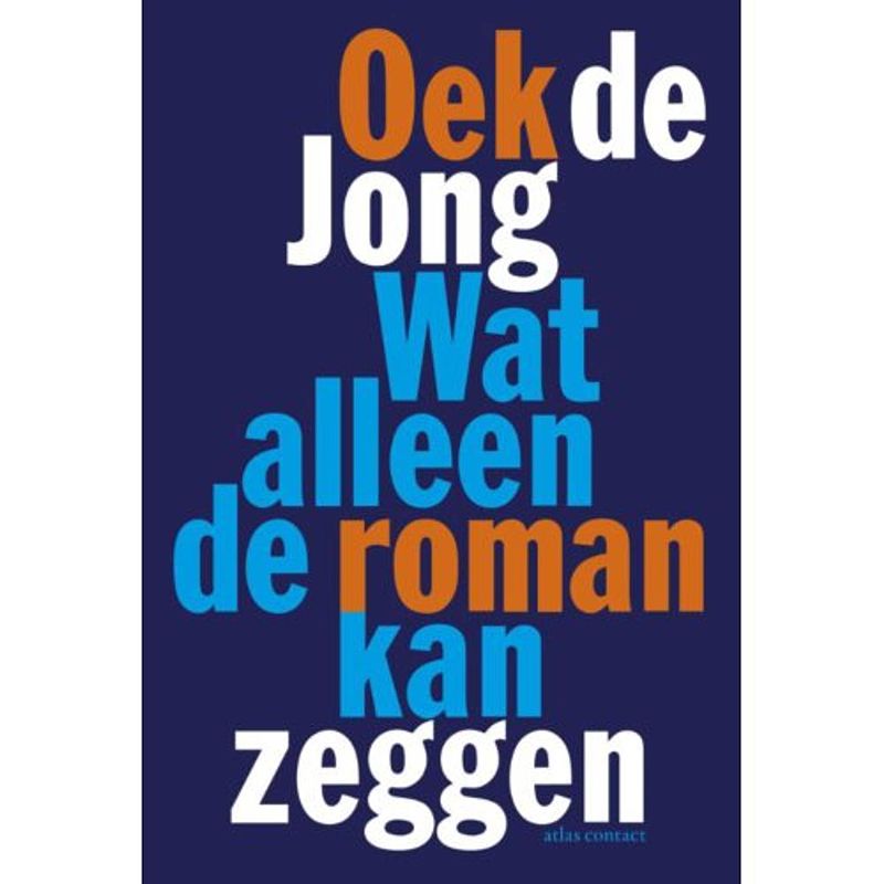 Foto van Wat alleen de roman kan zeggen