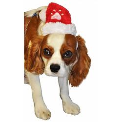 Foto van Huisdier kerstmutsje 18 cm - katten/ honden verkleedkleding