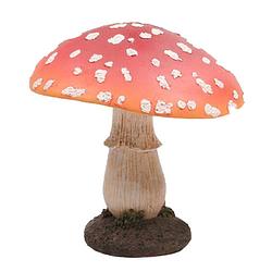 Foto van Tuinbeeld paddenstoel paraplu - 10 cm