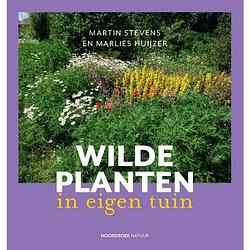 Foto van Wilde planten in eigen tuin