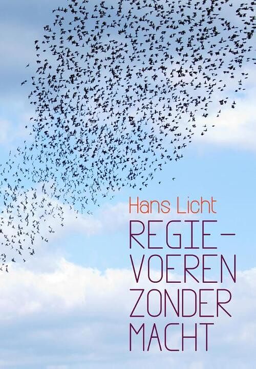 Foto van Regie voeren zonder macht - hans licht - ebook (9789023250265)