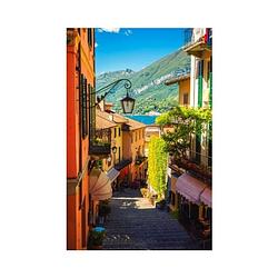 Foto van Tuinposter kleurrijk straatje italie 60x80cm teun tuinposters