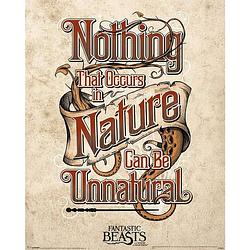 Foto van Pyramid fantastic beasts unnatural poster 40x50cm