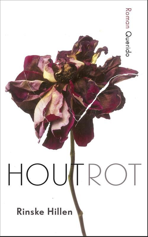 Foto van Houtrot - rinske hillen - ebook (9789021407739)