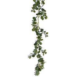 Foto van Everlands planten slinger - eucalyptus - kunstplant - groen - 180 cm - kunstplanten