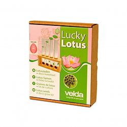 Foto van Velda - lucky lotus pink vijveraccesoires