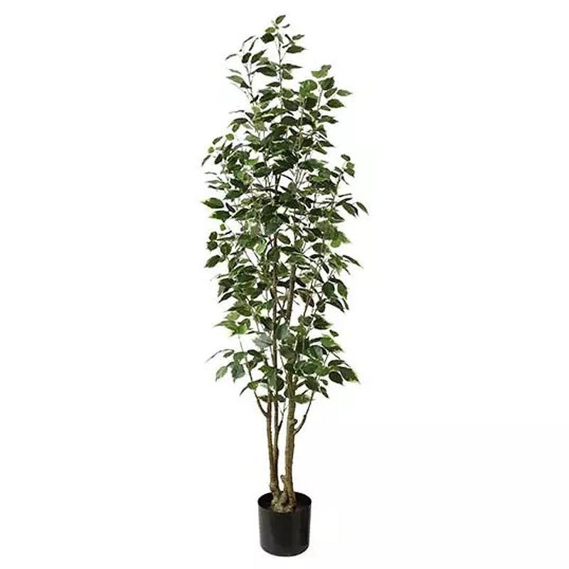 Foto van Ficus benjamina 145 cm kunstplant