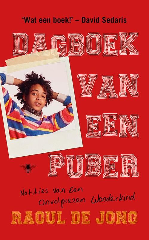 Foto van Dagboek van een puber - raoul de jong - ebook (9789403111001)