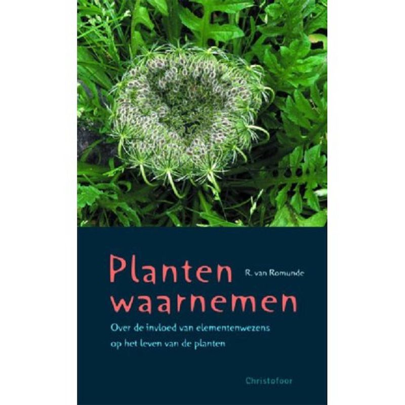 Foto van Planten waarnemen