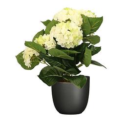 Foto van Hortensia kunstplant/kunstbloemen 36 cm - wit/groen - in pot zwart mat - kunstplanten