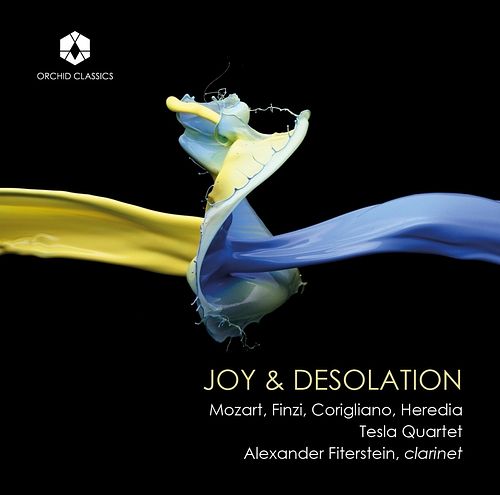 Foto van Joy & desolation - cd (5060189561063)