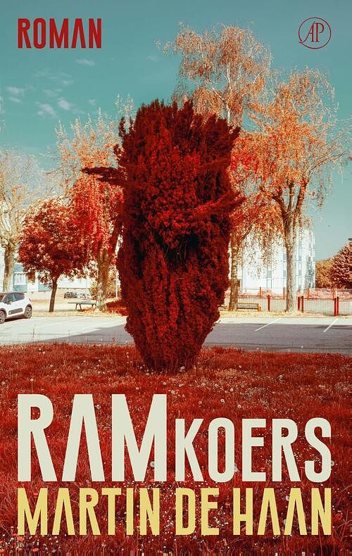 Foto van Ramkoers - martin de haan - ebook (9789029543323)