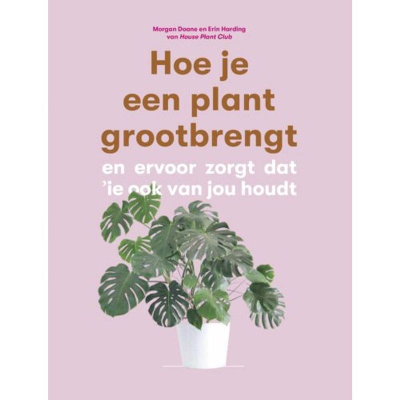 Foto van Hoe je een plant grootbrengt