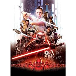 Foto van Komar star wars ep9 movie poster rey fotobehang 184x254cm 4-delig