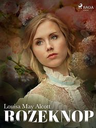 Foto van Rozeknop - louisa may alcott - ebook