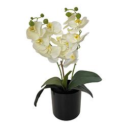 Foto van Kunst orchidee wit 30cm