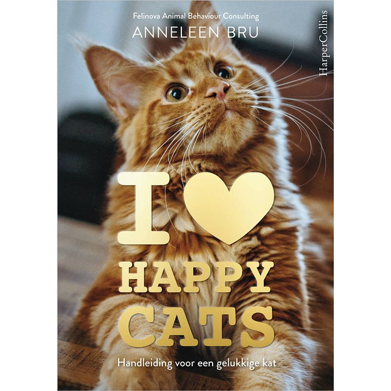 Foto van I love happy cats