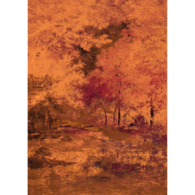 Foto van Komar autumna vlies fotobehang 200x280cm 4-banen