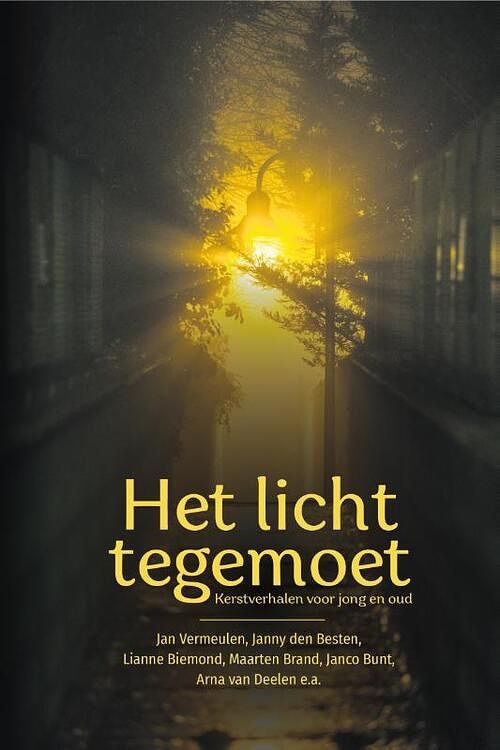 Foto van Het licht tegemoet - anita kramer - paperback (9789087188344)