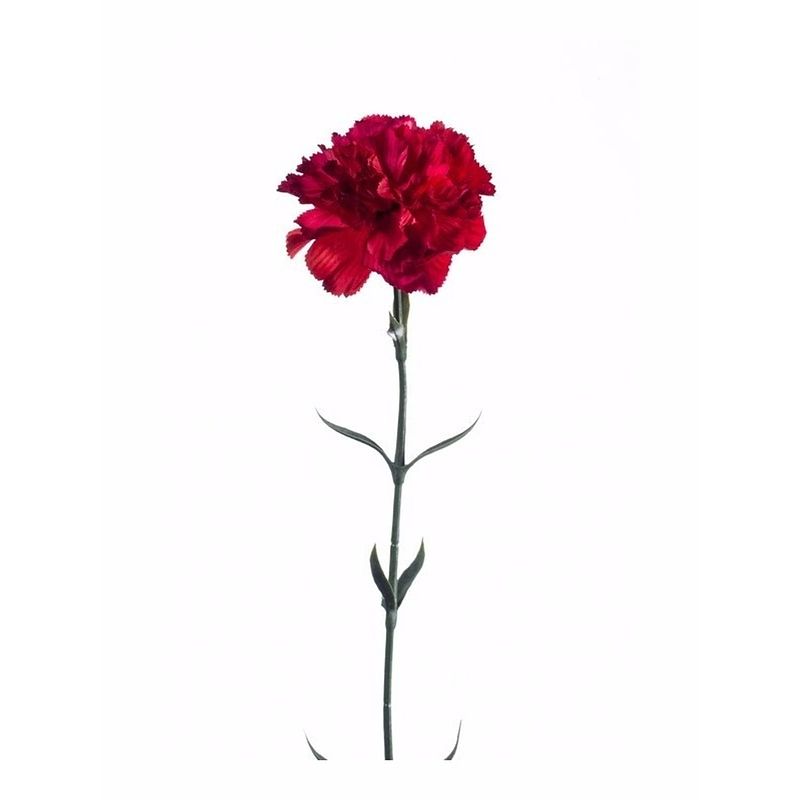 Foto van Kunstbloem anjer tak 65 cm rood - kunstbloemen