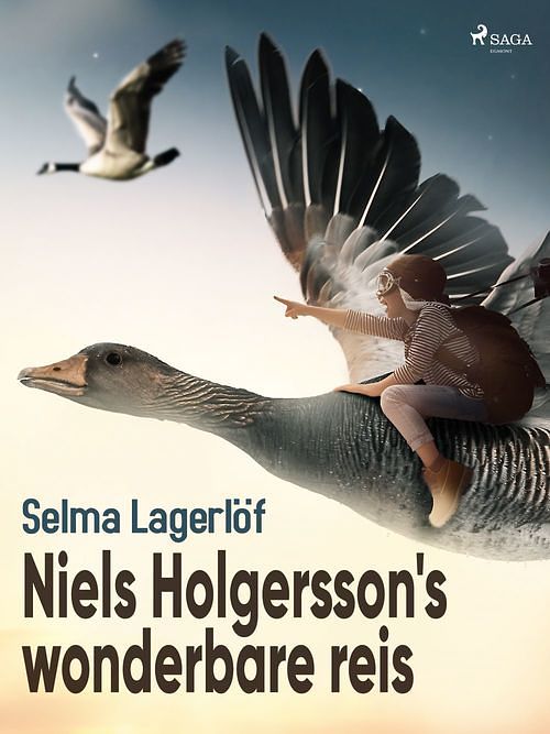 Foto van Niels holgersson s wonderbare reis - selma lagerlof - ebook