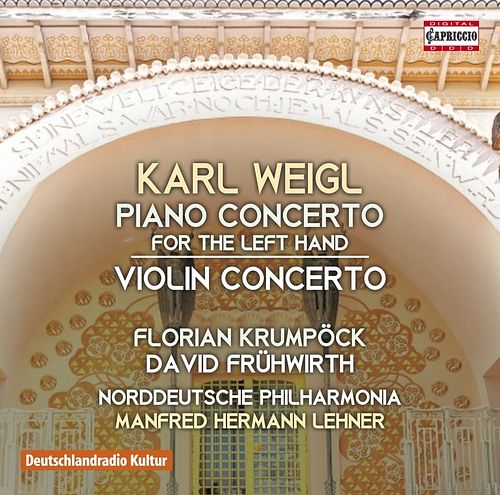 Foto van Piano concerto for the left hand - cd (0845221052328)