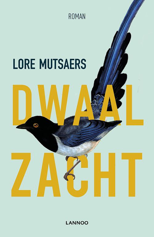 Foto van Dwaal zacht - lore mutsaers - ebook (9789401459532)