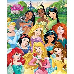 Foto van Pyramid disney princess i am a princess poster 40x50cm