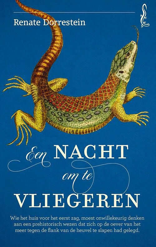 Foto van Een nacht om te vliegeren - renate dorrestein - ebook (9789021424897)