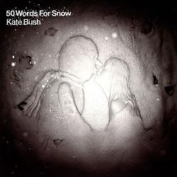 Foto van 50 words for snow - lp (0190295593810)