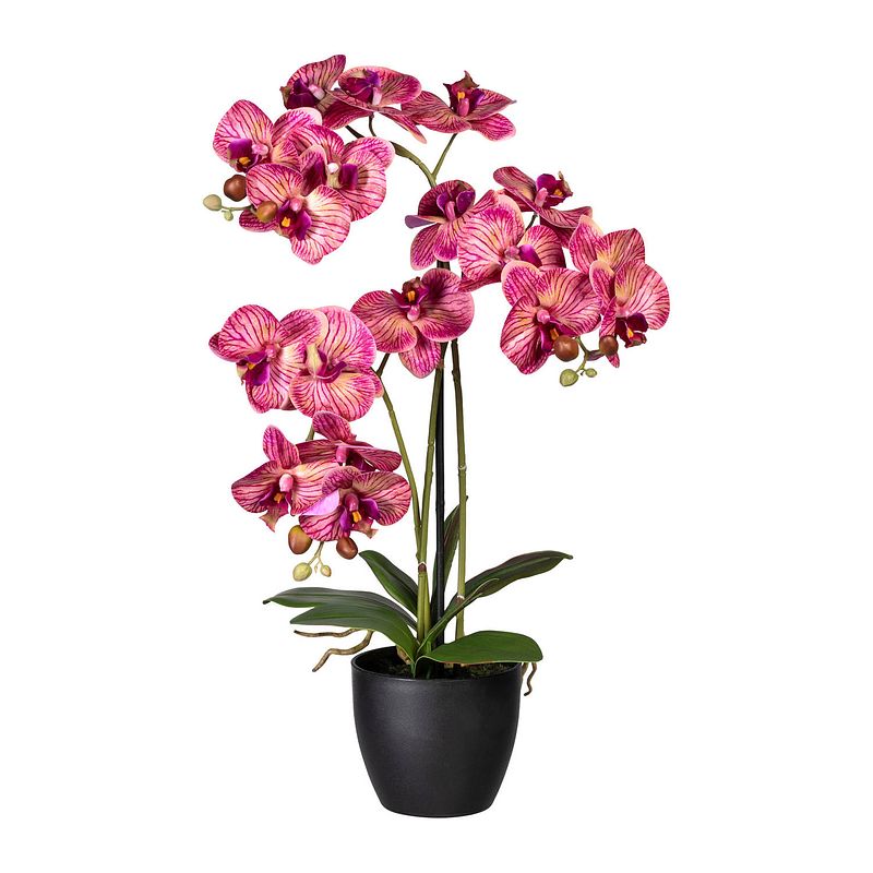 Foto van Kopu® kunstbloem orchidee 65 cm lila met zwarte sierpot - phalenopsis