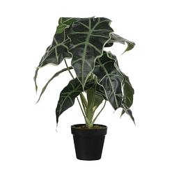 Foto van Alocasia kunstplant groen in pot h50 cm - kunstplanten