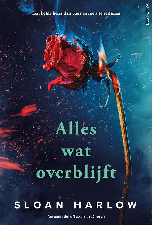 Foto van Alles wat overblijft - sloan harlow - ebook