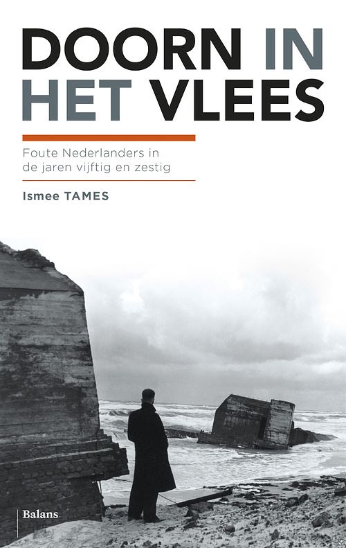 Foto van Doorn in het vlees - ismee tames - ebook (9789460037191)