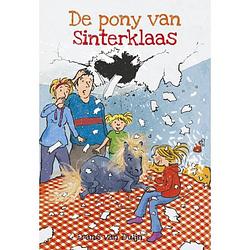 Foto van De pony van sinterklaas