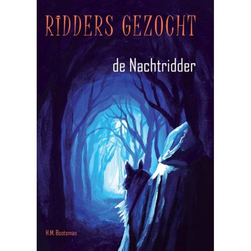 Foto van De nachtridder - ridders gezocht