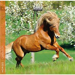 Foto van Paarden kalender 2023 mini