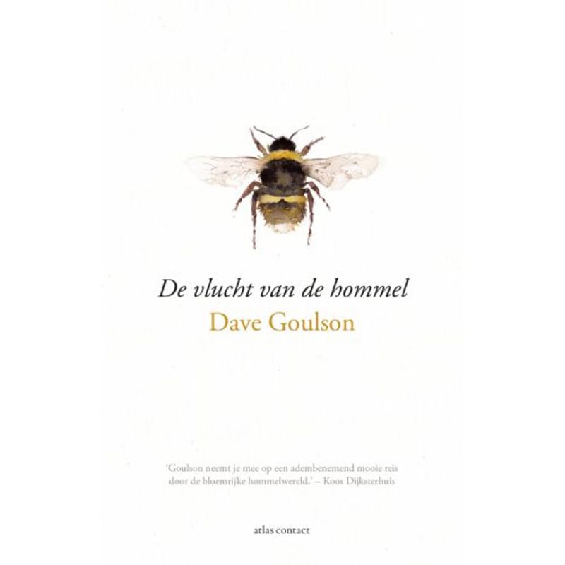 Foto van De vlucht van de hommel