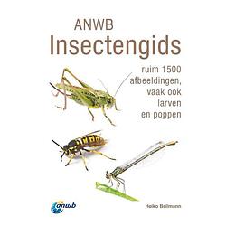 Foto van Anwb insectengids