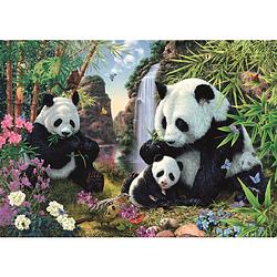 Foto van Dino puzzel panda's 1000 pieces