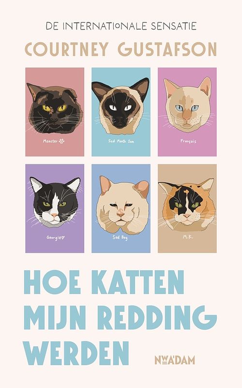 Foto van Hoe katten mijn redding werden - courtney gustafson - ebook