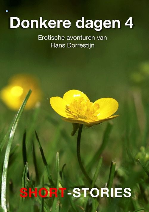 Foto van Donkere dagen - hans dorrestijn - ebook (9789464490114)