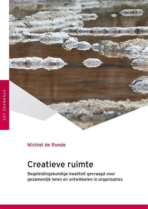 Foto van Creatieve ruimte - michiel de ronde - paperback (9789051799378)