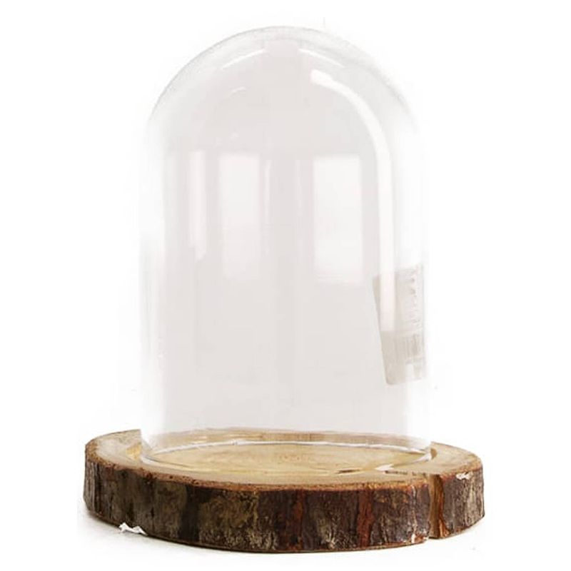 Foto van Dijk natural collections stolp - glas - houten bruin plateau - d13 x h17,5 cm - decoratieve stolpen