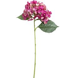 Foto van Coco maison kunstbloem hydrangea spray 50cm hoog