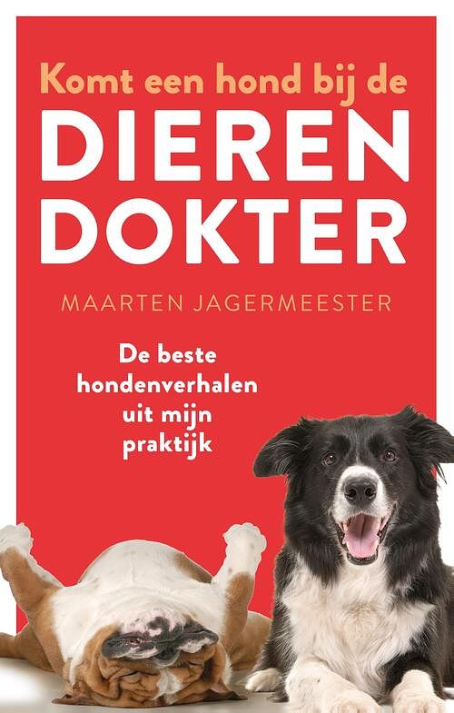 Foto van Komt een hond bij de dierendokter - maarten jagermeester - ebook (9789089248381)