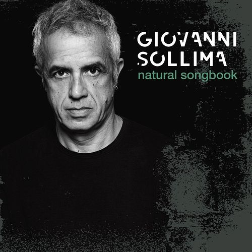 Foto van Natural songbook - lp (5054197060311)